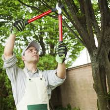 We are serving all of st. Home Iowa City Ia Noel S Tree Crane Service Inc