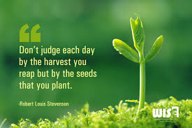 Wise Immigration Study Services Don T Judge Each Day By The Harvest You Reap But By The Seeds That You Plant Robert Louis Stevenson Thinkvisathinkwise Sundaymotivation Facebook