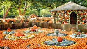 15 Places For Apple And Pumpkin Picking In And Around Dallas Page 3 Of 5 Kid 101