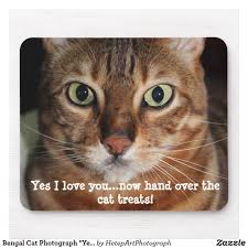 Extended mouse pads also add some style to your gaming rig and it keeps everything in place, so there will be no more instances when you use a critical online match. Bengal Cat Photograph Yes I Love You Meme Mouse Pad Cats Cat Having Kittens Bengal Cat