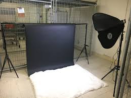Creating Quality Portraits In Small Spaces With The Savage Led Portrait Kit Savage Universal