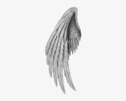 Angel Wings Freetoedit Gold Angel Wings Png Free Transparent Png Download Pngkey Wings Png Angel Wings Png Angel Wings Drawing