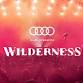 Audi Presents Wilderness 2025 - Weekend General event image