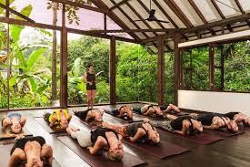the 10 best yoga studios in bali