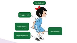 Kunci Jawaban Tema 2 Kelas 6 Halaman 117 118 120 121 Pembelajaran 3 Subtema 3 Buku Tematik Tribun Padang