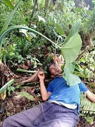 Jaranan di daerah kediri ternyata tak hanya sebatas sebagai seni pertunjukan. Toko Pertanian Konco Tani Di Kota Kediri