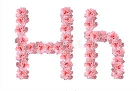 American lung association's lung force unites women and their loved ones across the country to stand together for lung health and against lung cancer. Alphabet H Flowers Photos Free Royalty Free Stock Photos From Dreamstime