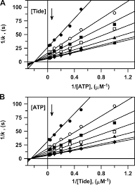 We will discuss both of the circuits here one by one. Kinetic Mechanism Of Fully Activated S6k1 Protein Kinase Journal Of Biological Chemistry