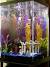 Aquascape Tall Aquarium