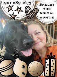 Shelby The Animal Auntie