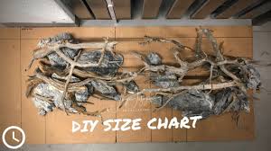 diy aquarium size comparison chart for quick hardscape mockups