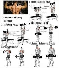 Image result for Shoulder Strength Exercises
