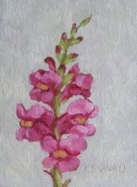 We did not find results for: 20 Snapdragon Ideas Snapdragons Snapdragon Flowers Botanical Illustration