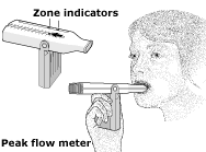 how to use a peak flow meter cleveland clinic