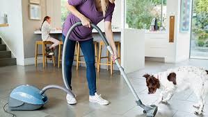 You're going to need more than a few feathers on a stick. 8 Tips To Keep Your House Dust Free Essential Rentals