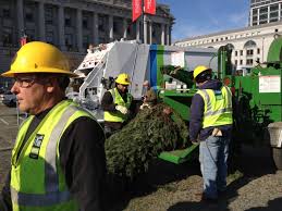 Set in san josé, 500 metres from estadio nacional de costa rica, hotel columbus offers accommodation with a restaurant, free private parking and a bar. How To Compost Or Recycle Your Christmas Tree In The Bay Area Kqed