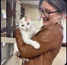 Hip, Hip, Hooray,...