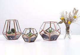 This naturalistic terrarium by terraliving brings a miniature forest with zero moss to your home or hi guys, i'm happy to show you my last project! How To Make A Terrarium In 5 Easy Steps Proflowers