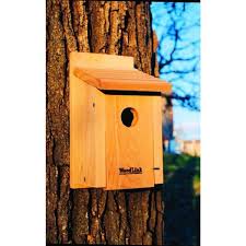 Get creative and give it a unique look by painting and decorating it. Woodlink Bluebird Bird House Bb1 The Home Depot