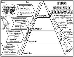 The Energy Pyramid Science Doodle Notes With Powerpoint Amp Quiz Science Doodles Energy Pyramid Doodle Notes Science