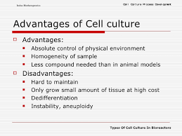May 01, 2019 · upon cell death and loss of membrane integrity, the fluorescent calcein or the radioactive 51 cr is released from the cytoplasm into the culture medium where they can be quantified relative to the background spontaneous release from the viable cell population. Cell Culture Basics