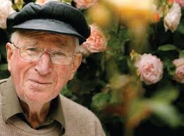 Tomorrow's Schools 20 years on...