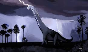 Image result for Astropanax