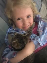 Merry Christmas from Georgina Feral Cat Committee