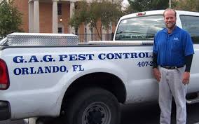 Muhafiz pest control is a best pest control company located in lahore, punjab, pakistan. Pest Control Orlando Termite G A G Pest Control
