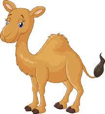 This clipart image is transparent backgroud and png format. Download Cartoon Camel Cute Cartoon Camel Png Image With No Background Pngkey Com