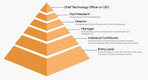 List Of All Job Roles, Job Titles In Software And It Companies -  Devopsschool.com