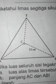 Limas Segitiga Siku Siku T Abc Seperti Gambar Berikut Jika Luas Seluruh Sisi Tegaknya Adalah 84 Cm Brainly Co Id