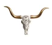 Resin and Gold Faux Cow Skull with Gold Longhorns | Clear Home Design