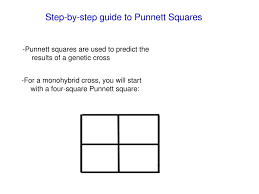 The punnett square is a table in which all of the possible outcomes for a genetic cross between two individuals with known genotypes are given. Genetics Review Ppt Download