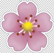 Pin By Dayofthefullmoon On Stickers Emoji Japanese Emoji Flower Japanese Flowers