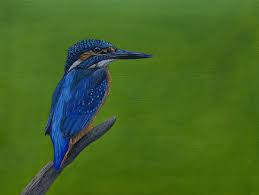 Aiden Paul Martin Art