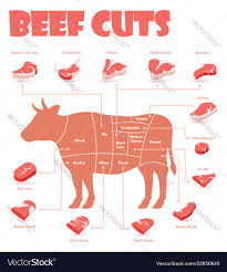 Beef Cuts Chart