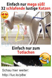 Diese leute hã¤tten es lieber sein lassen sollen (13 gifs) Einfach Nur Mega Su 32 Schlafende Lustige Katzen Einfach Nur Zum Tot Lachen Schau Hier Weiter Httpfuctop8w Mega Meme On Me Me