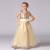 Wedding Lace Sketch Frock Design