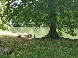 Parc Picture Of Le Jardin Des Lys Moret Sur Loing Tripadvisor