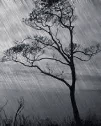 Support us by sharing the content, upvoting wallpapers on the page or sending your own background pictures. Animated Rain Background Gifs Tenor