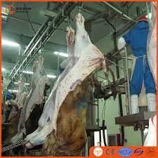Average bird weights of common parrot species. Muslim Camel Butchering Machinery For Modern Meat Abattoir Halal Buy Camel Butchering Machinery Muslim Butcher Machine Muslim Camel Butchering Machinery Product On Alibaba Com