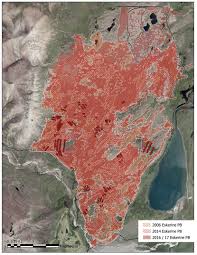 Frontiers | Out of the Ashes: Ecological Resilience to Extreme Wildfire,  Prescribed Burns, and Indigenous Burning in Ecosystems