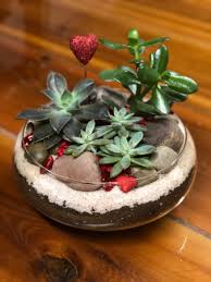 Check spelling or type a new query. Valentine S Succulent Bowl Valentine S Day In Westfield In Hittle Floral Design