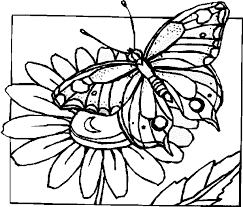 Butterfly coloring pages are created both for toddlers who are just starting to explore the world around them, and for older kids. Butterfly Coloring Pages Butterfly Flower Coloring Page Butterfly Coloring Sheets Coloring Book Pages