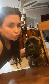 Lost Belgian dog near Westgate and 4th?