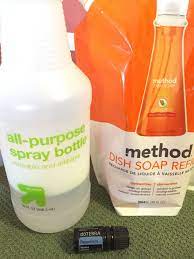 Found A Solution To Rid My Plants Of Mealy Bugs Also Known As Woolly Aphids What You Ll Need Spray Bottle 10 Oz Mealy Bugs Garden Solutions Pretty Plants