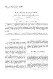 Image result for Nemum