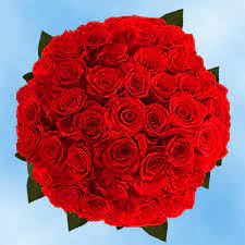Rose design resources · beautiful hd wallpapers & backgrounds, floral and botanical photos, pngs, drawings, graphics and more. Pin By Rahul Praveen On Cristal In 2021 Red Roses Wholesale Flowers 100 Red Roses