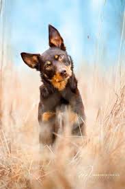 We did not find results for: Korie D Korkie8501 Profile Pinterest